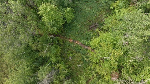20 Acres Badger Avenue, Nekoosa, WI 54457
