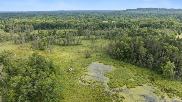 20 Acres Badger Avenue, Nekoosa, WI 54457