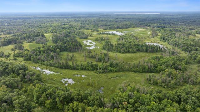 20 Acres Badger Avenue, Nekoosa, WI 54457