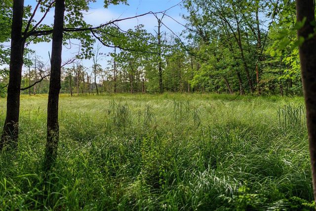 20 Acres Badger Avenue, Nekoosa, WI 54457