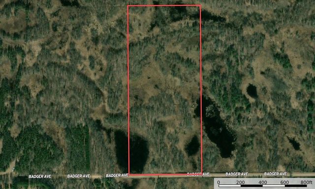20 Acres Badger Avenue, Nekoosa, WI 54457