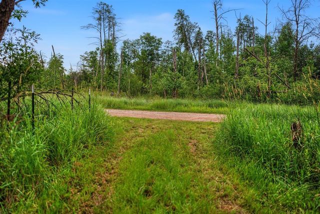 20 Acres Badger Avenue, Nekoosa, WI 54457