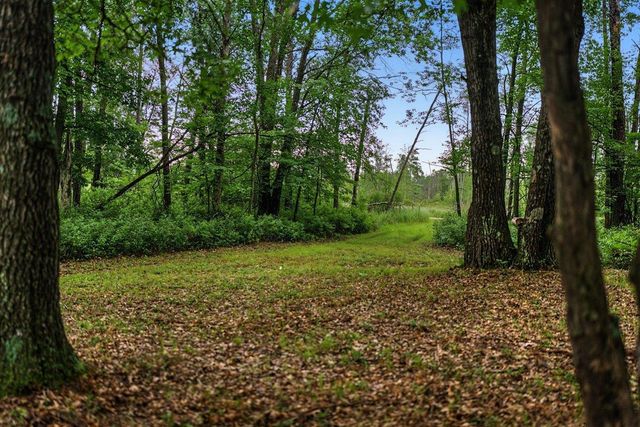 20 Acres Badger Avenue, Nekoosa, WI 54457