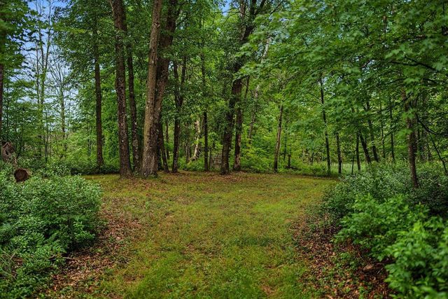 20 Acres Badger Avenue, Nekoosa, WI 54457