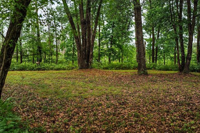 20 Acres Badger Avenue, Nekoosa, WI 54457