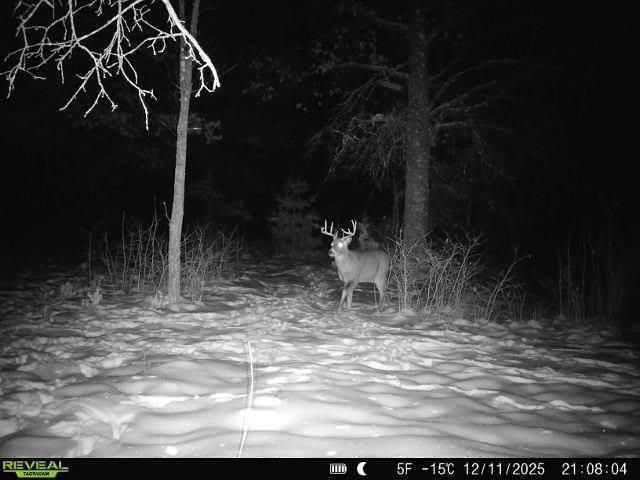20 Acres Badger Avenue, Nekoosa, WI 54457