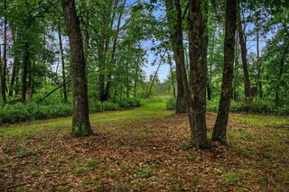 20 Acres Badger Avenue, Nekoosa, WI 54457