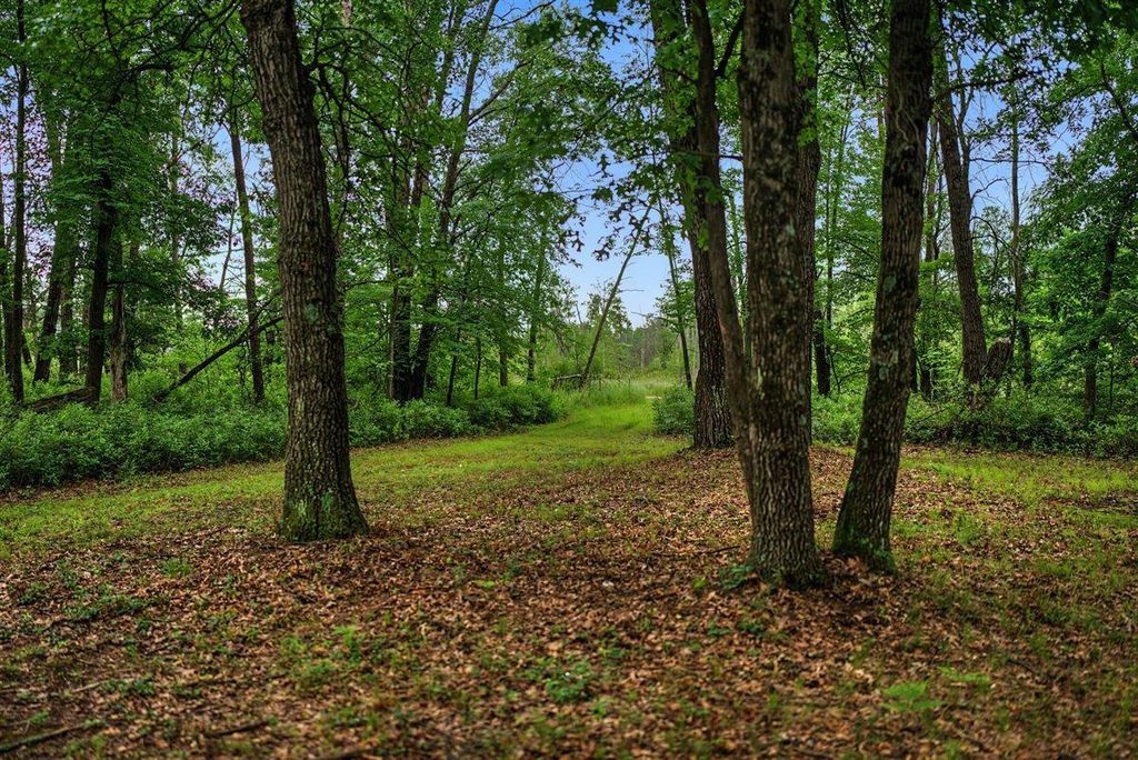20 Acres Badger Avenue, Nekoosa, WI 54457