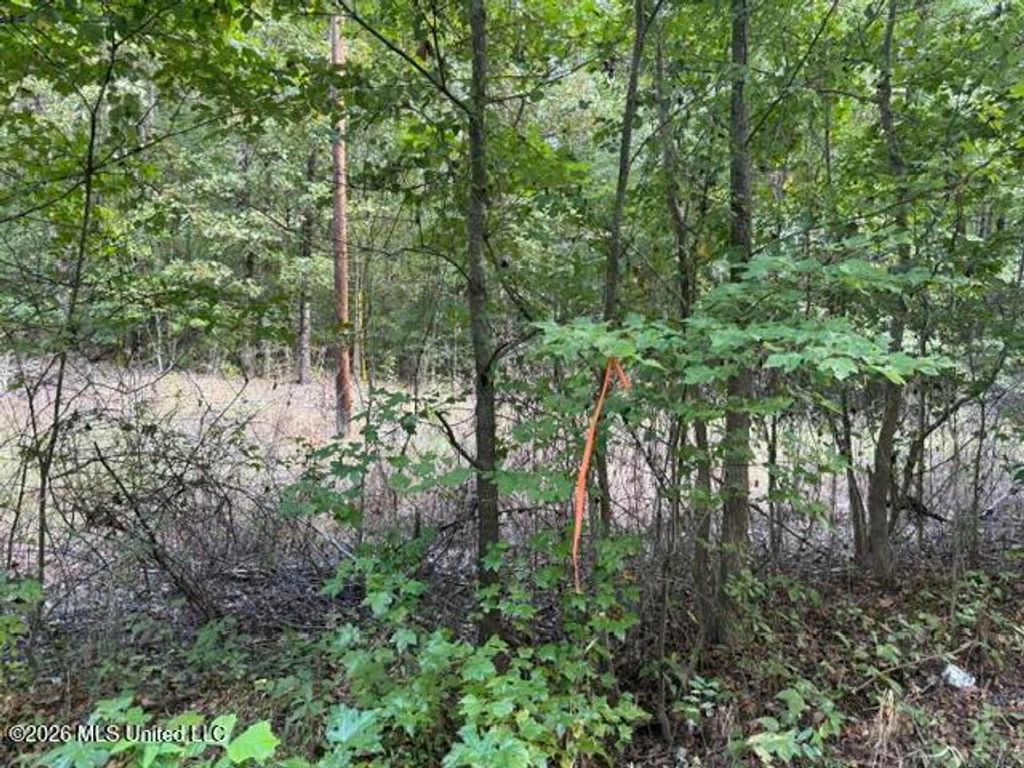Ted Cove, Byhalia, MS 38611 — photo 3