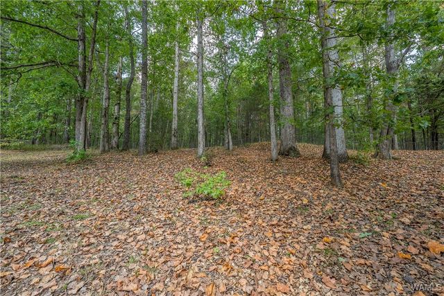 5328 Overbrook, Tuscaloosa, AL 35405