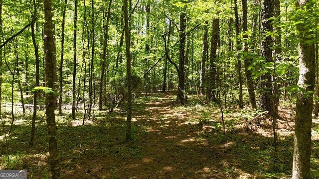 955 Cheatham Road, Griffin, GA 30223