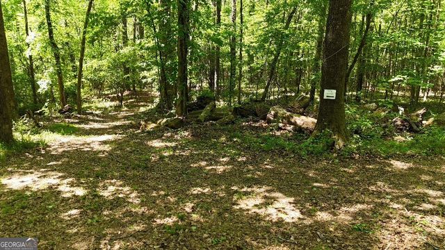 955 Cheatham Road, Griffin, GA 30223