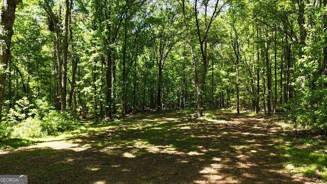 955 Cheatham Road, Griffin, GA 30223