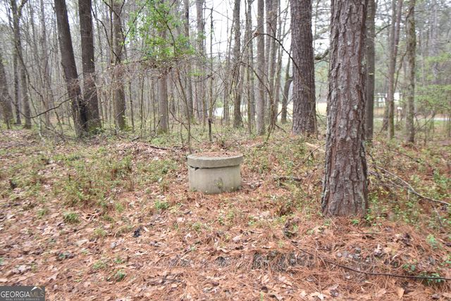 955 Cheatham Road, Griffin, GA 30223