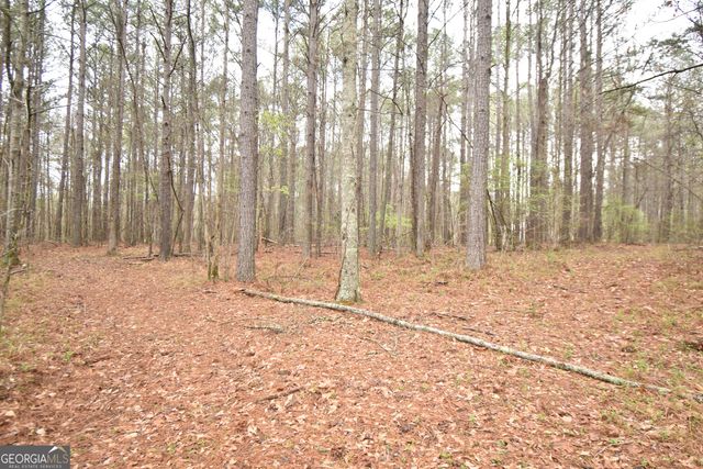 955 Cheatham Road, Griffin, GA 30223