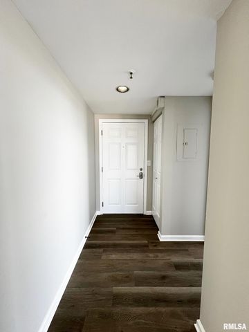 125 SW JEFFERSON Avenue W11W, Peoria, IL 61602