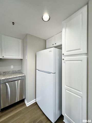 125 SW JEFFERSON Avenue W11W, Peoria, IL 61602