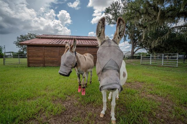 2242 CR 543, Sumterville, FL 33585