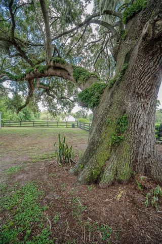 2242 CR 543, Sumterville, FL 33585