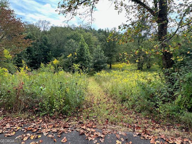 0 TBD Creekfront Lane, Hayesville, NC 28904