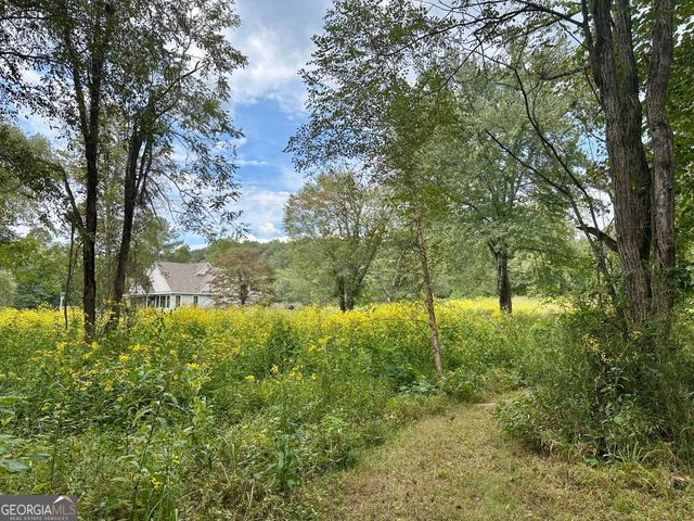 0 TBD Creekfront Lane, Hayesville, NC 28904