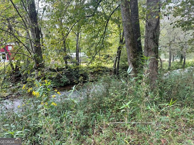 0 TBD Creekfront Lane, Hayesville, NC 28904
