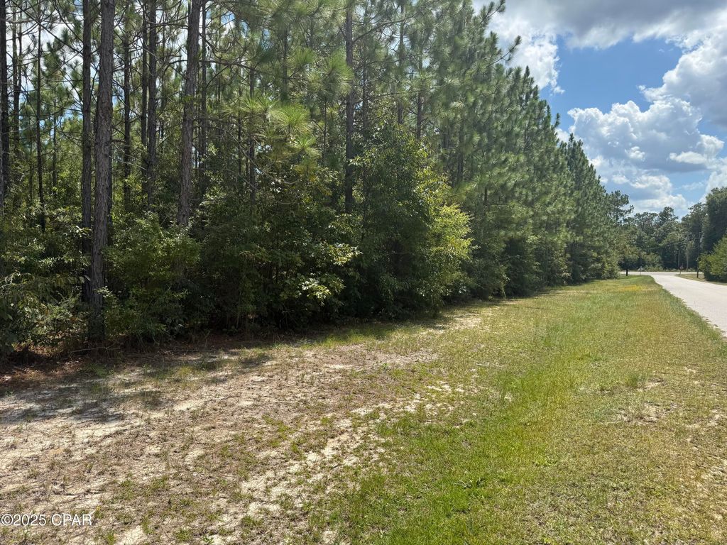 00 Silverwood Drive, Greenwood, FL 32443