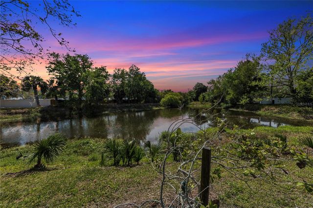 10320 OUT ISLAND DRIVE, Tampa, FL 33615