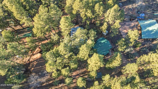 199 W MOCKINGBIRD Lane, Payson, AZ 85541