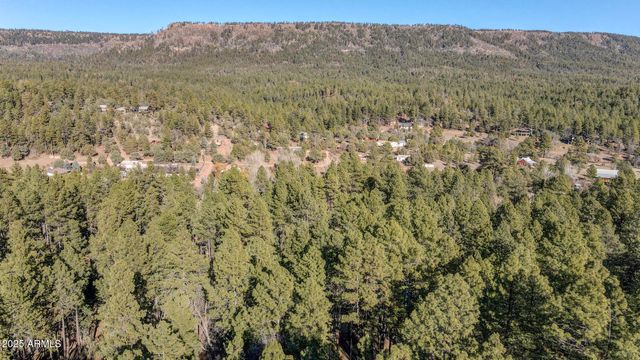 199 W MOCKINGBIRD Lane, Payson, AZ 85541