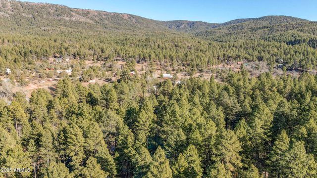 199 W MOCKINGBIRD Lane, Payson, AZ 85541
