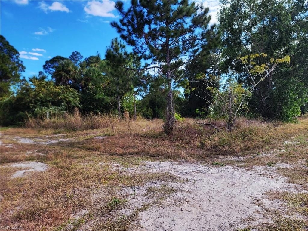 3125 29th ST SW, LEHIGH ACRES, FL 33976 — photo 2