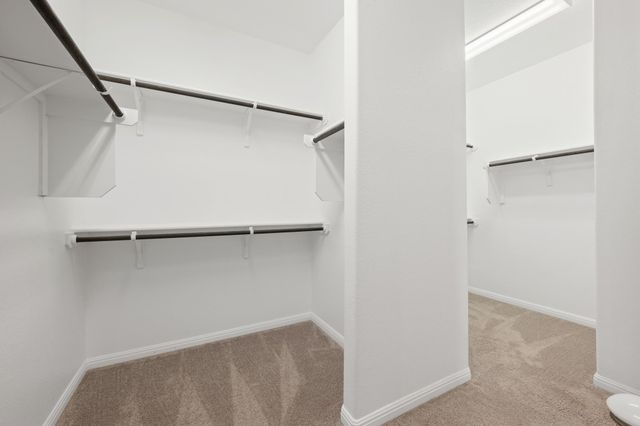 17708 Zinfandel DR, Pflugerville, TX 78660