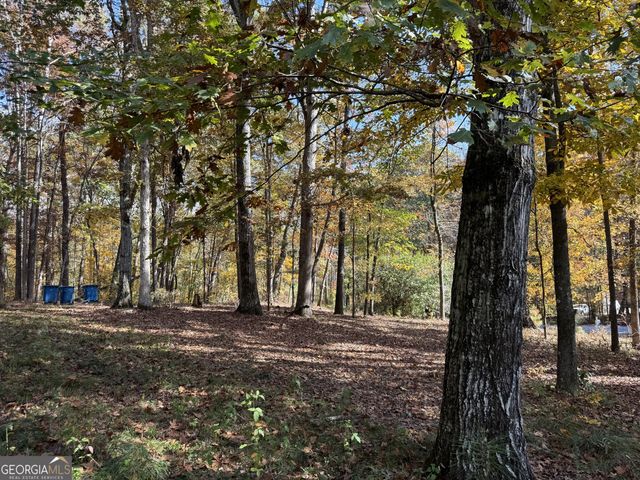 85 Annie Chandler Trail, Lawrenceville, GA 30045