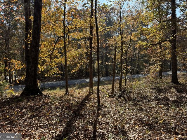 85 Annie Chandler Trail, Lawrenceville, GA 30045