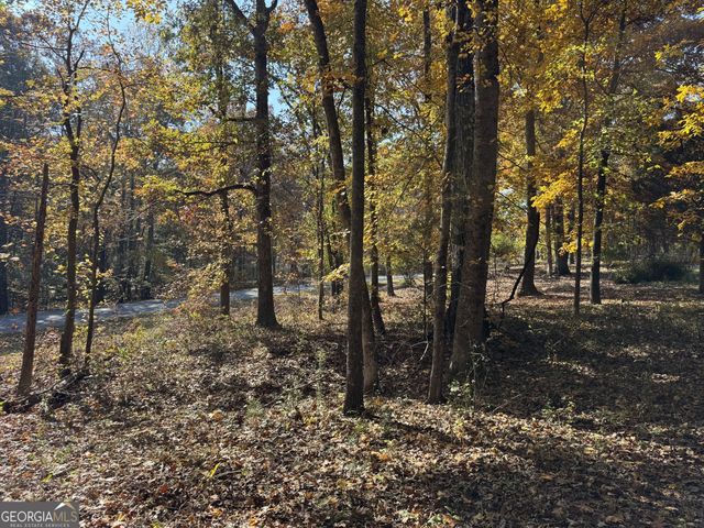 85 Annie Chandler Trail, Lawrenceville, GA 30045