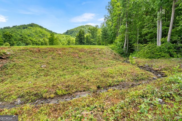 1449 Muskrat Creek Road, Hayesville, NC 28904