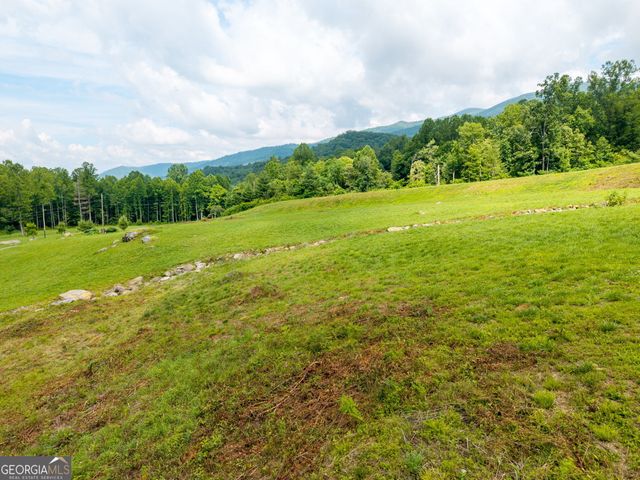 1449 Muskrat Creek Road, Hayesville, NC 28904