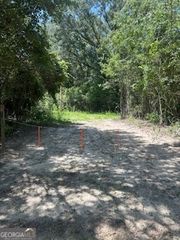 24.91 AC Clifford Road, Claxton, GA 30417