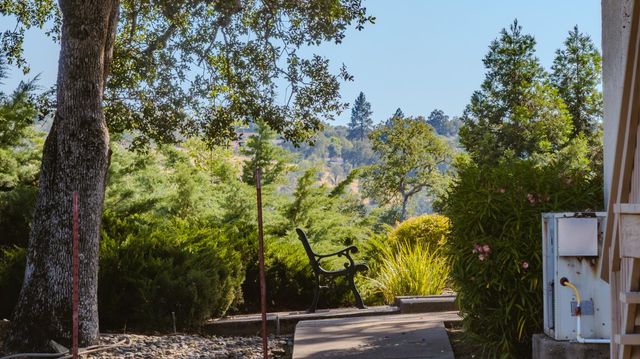 156 Creek View Ct, Sutter Creek, CA 95685