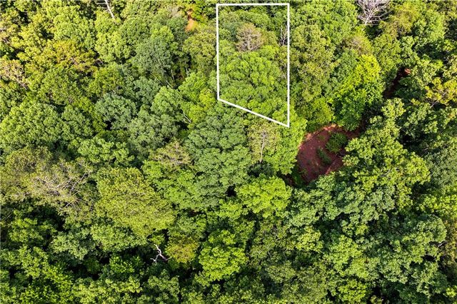 0 Noah Court, Ellijay, GA 30540