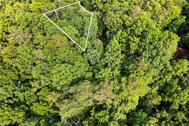 0 Noah Court, Ellijay, GA 30540