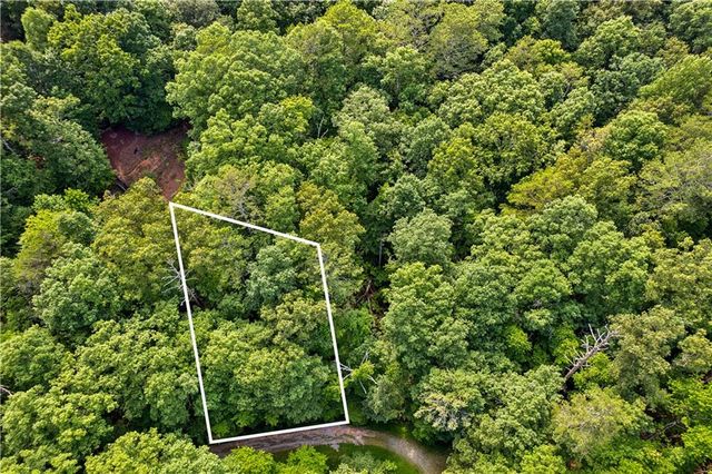 0 Noah Court, Ellijay, GA 30540