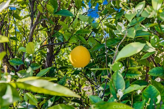 1193 Miller Circle, Corona, CA 92882