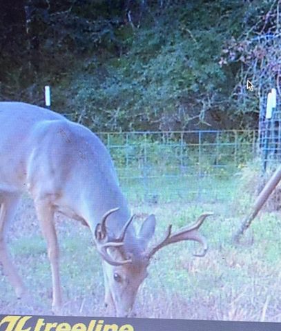 26701 Nelson Road, Hempstead, TX 77445