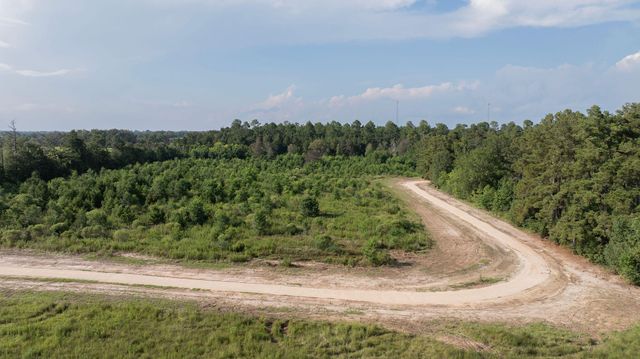 TBD HWY 171, Deridder, LA 70634