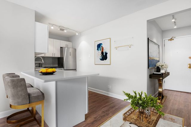 611 W Patterson Avenue 420, Chicago, IL 60613