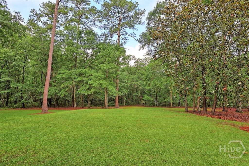 Image 41 of property listing at 120 Lake Tomacheechee Drive, Rincon, GA 31326