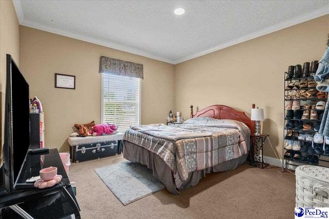 1831 Holly Bush Rd, Timmonsville, SC 29161