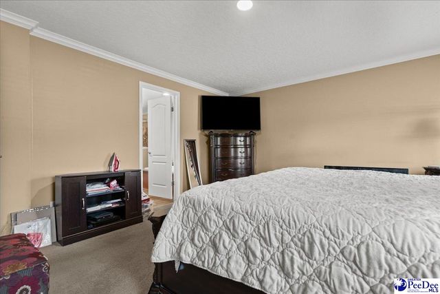 1831 Holly Bush Rd, Timmonsville, SC 29161